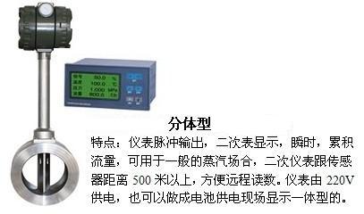 1寸壓縮空氣流量計(jì)分體型產(chǎn)品圖